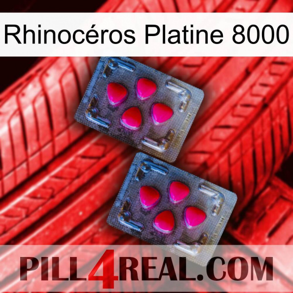 Rhinocéros Platine 8000 14